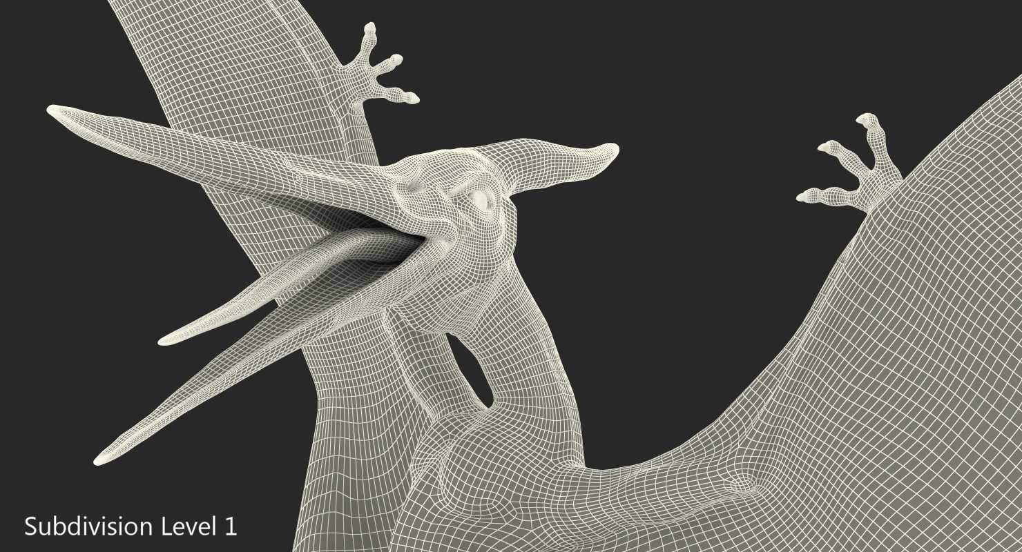 Pteranodon Flying Carnivorous Reptile Landing Pose with Fur 3D model