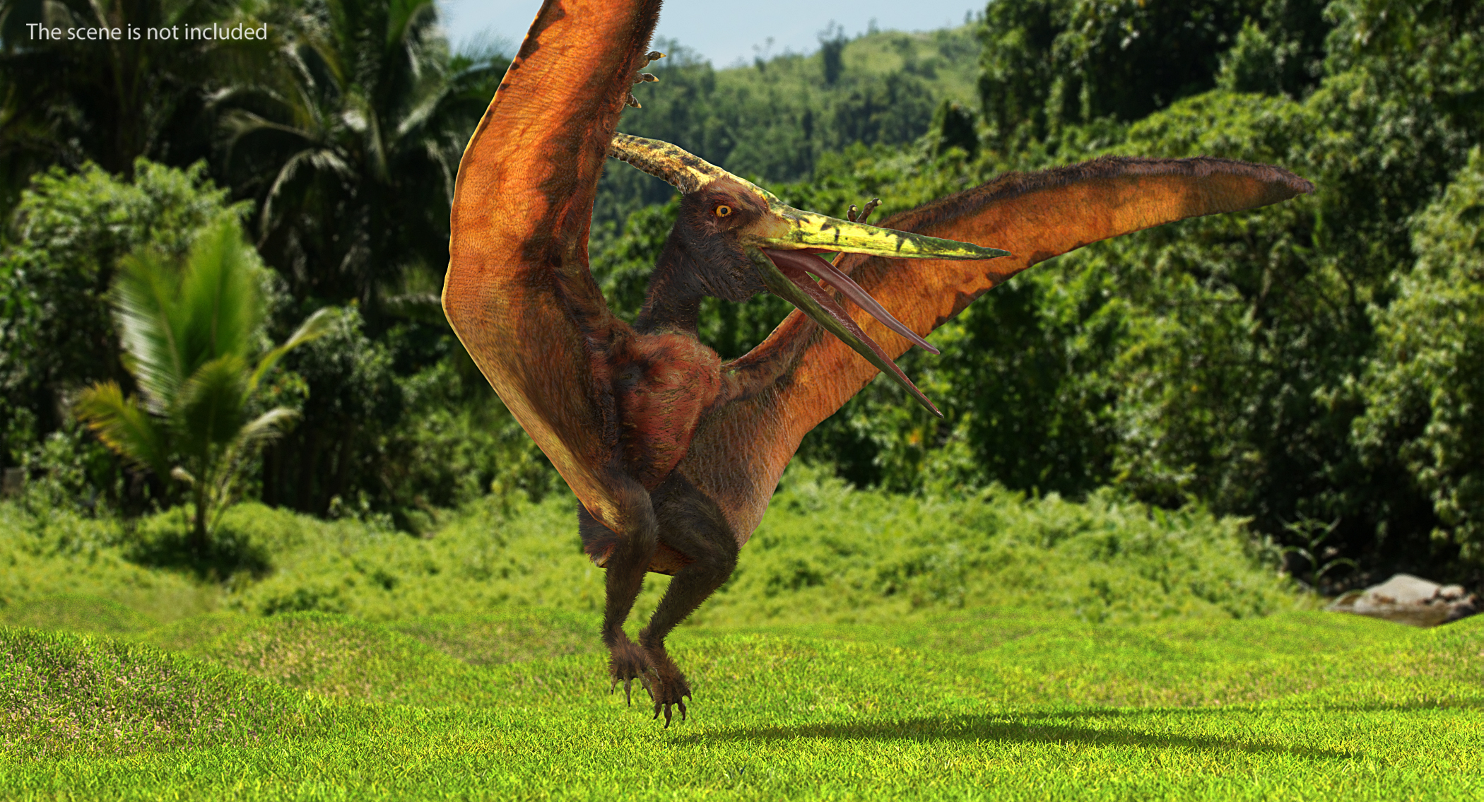 Pteranodon Flying Carnivorous Reptile Landing Pose with Fur 3D model