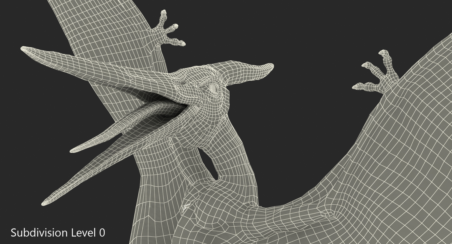 Pteranodon Flying Carnivorous Reptile Landing Pose with Fur 3D model