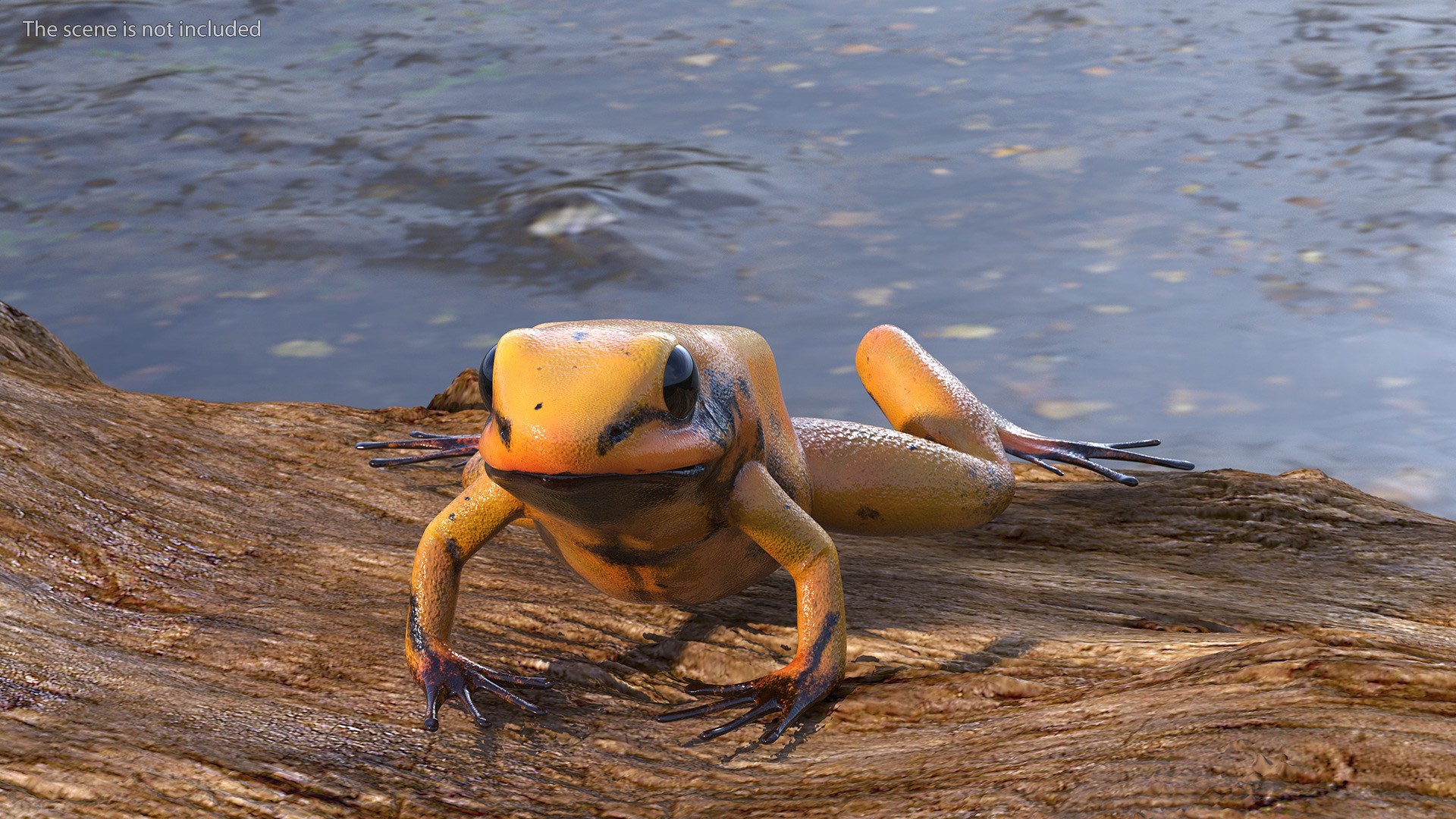 Crawling Poisonous Arrow Frog Orange Morph 3D