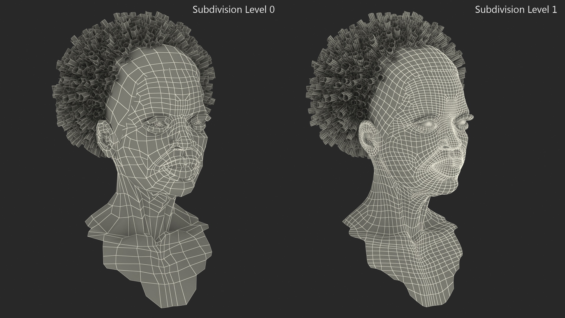 3D Afro American Grandma Head