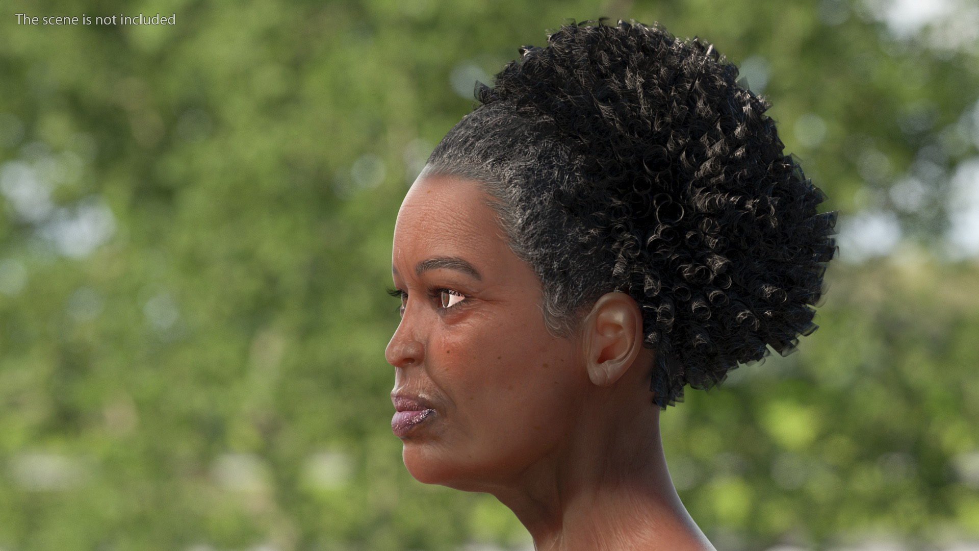 3D Afro American Grandma Head