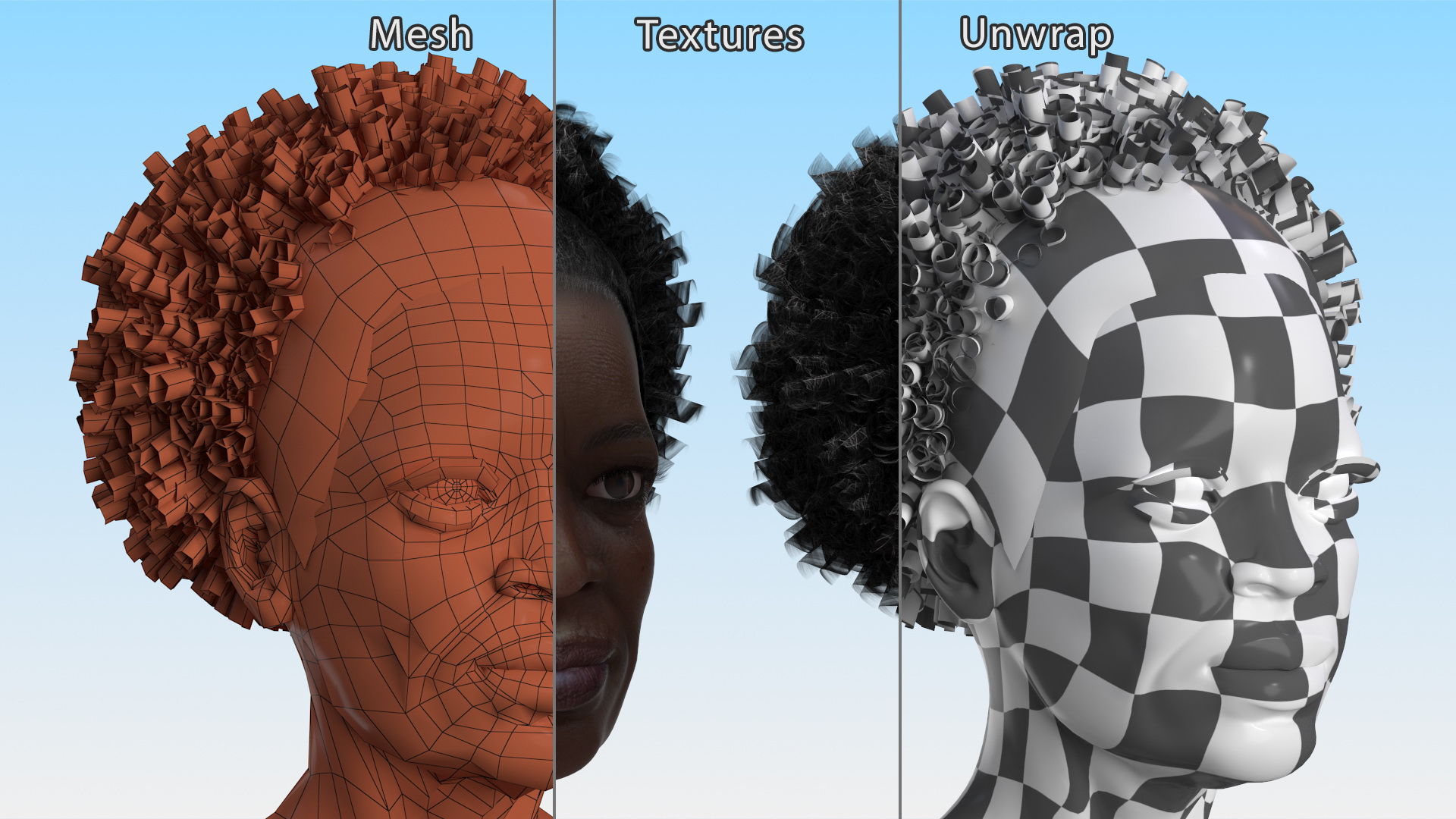3D Afro American Grandma Head