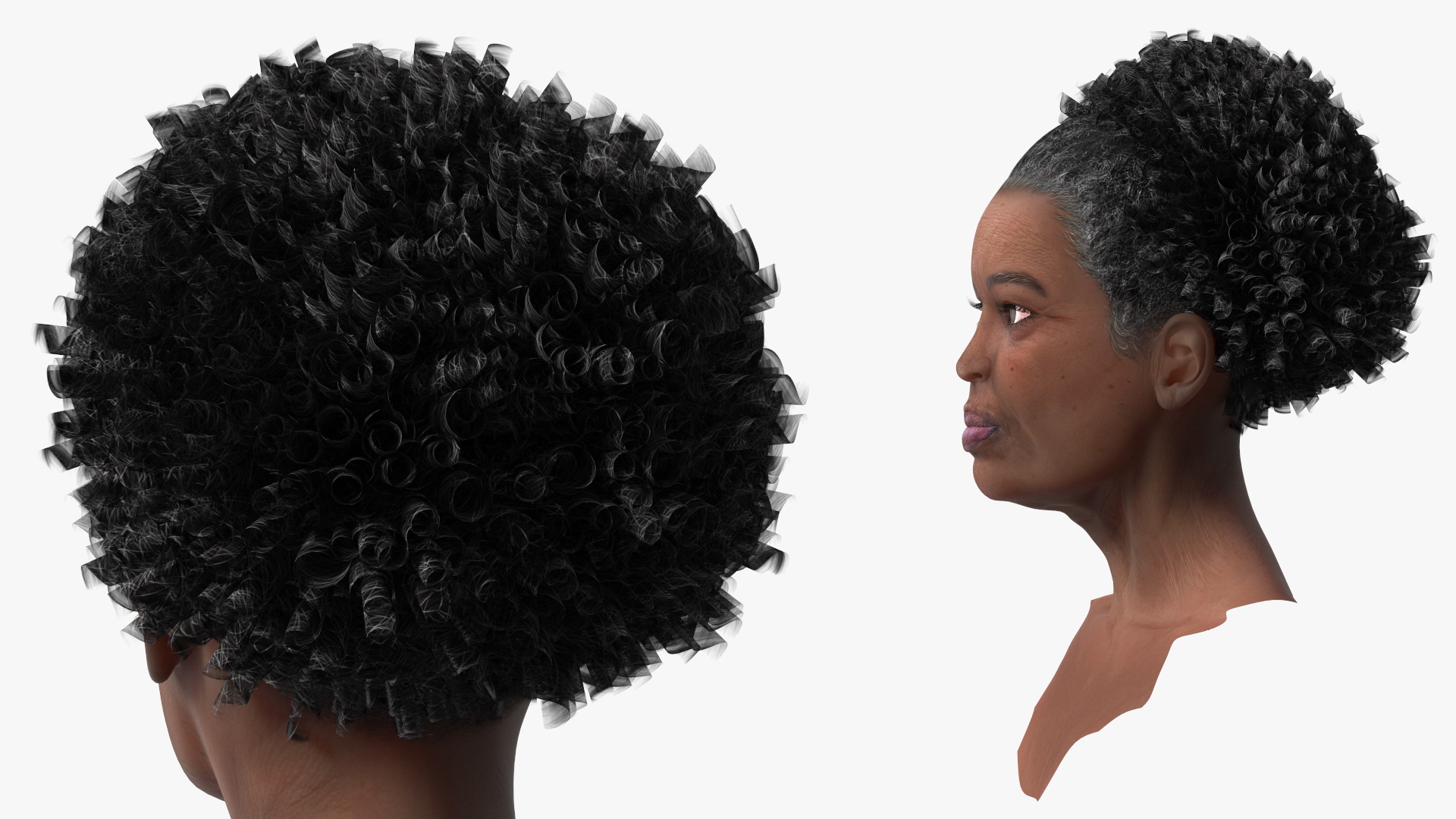 3D Afro American Grandma Head