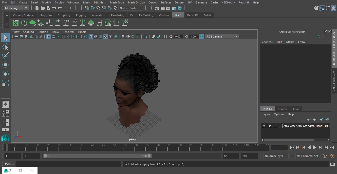 3D Afro American Grandma Head