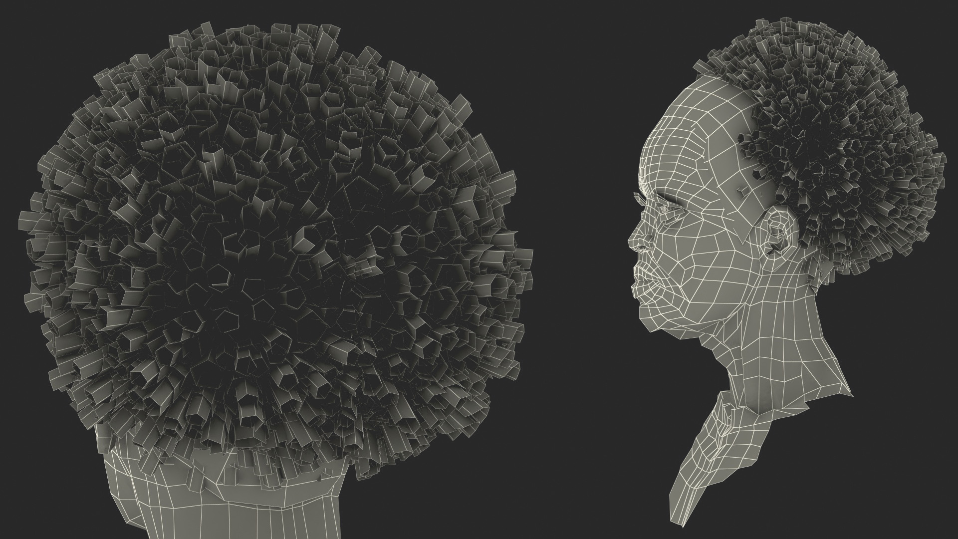 3D Afro American Grandma Head