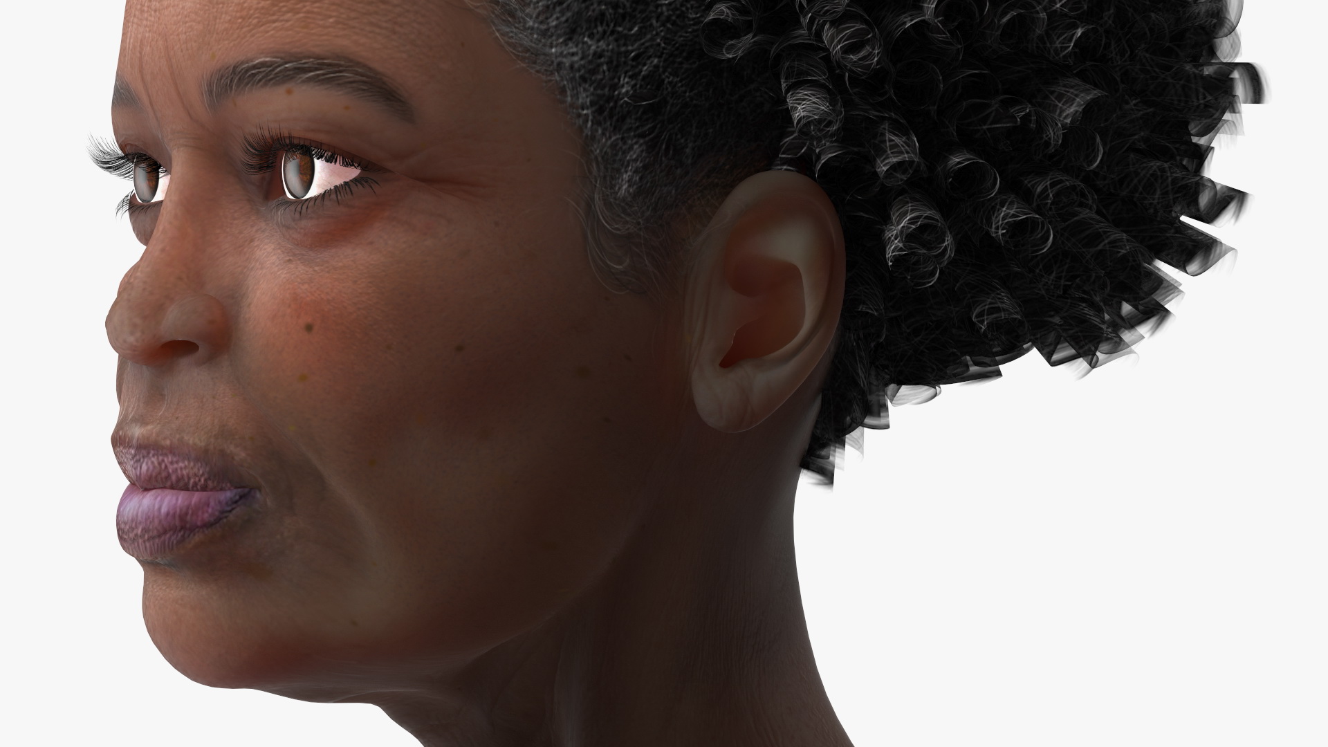3D Afro American Grandma Head