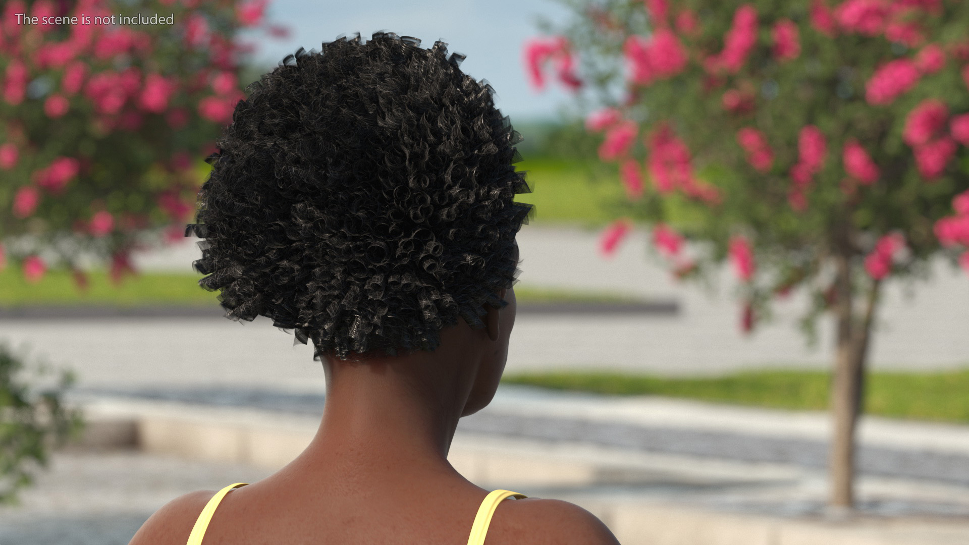 3D Afro American Grandma Head