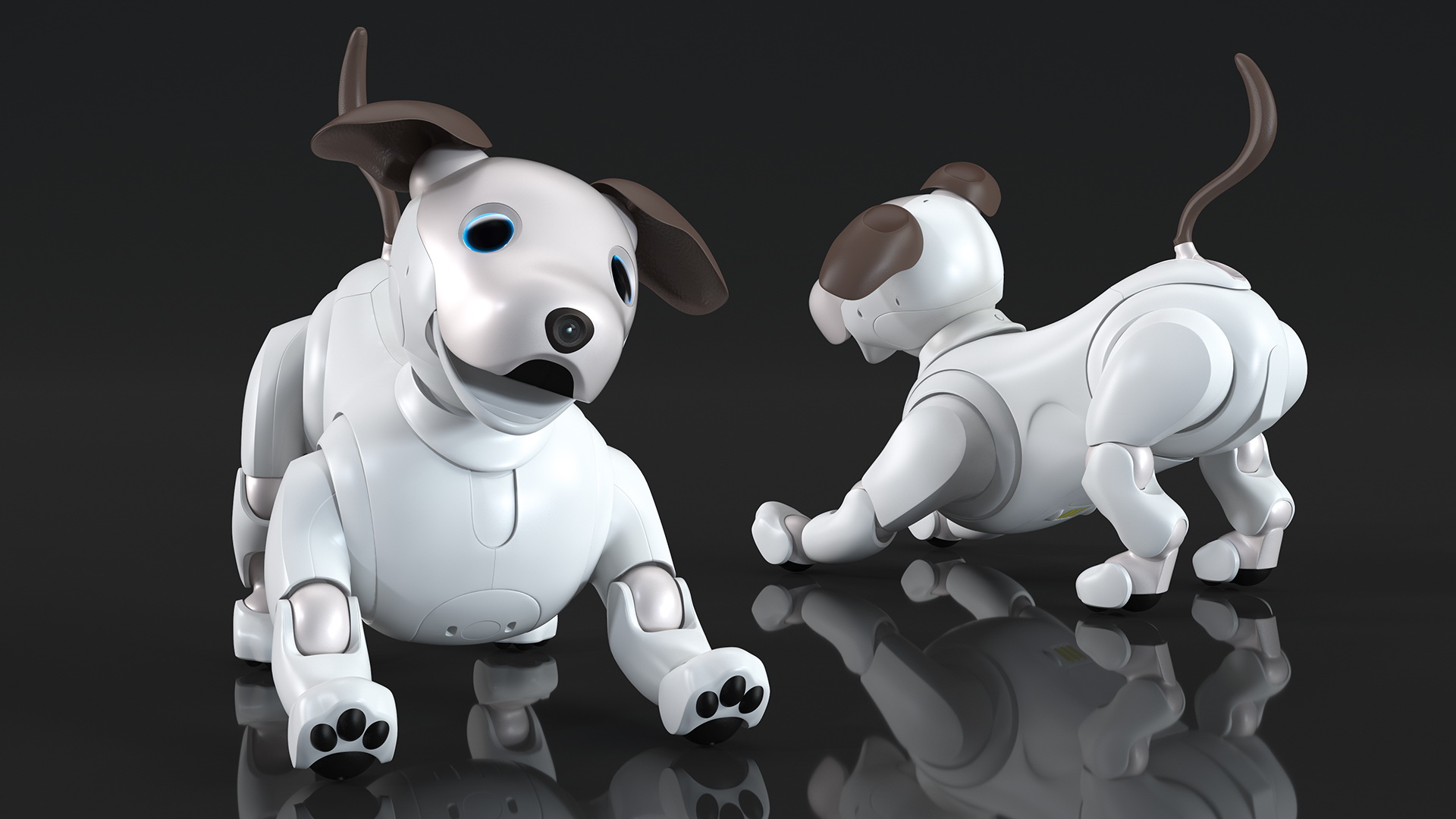 Sony Aibo 2017 Playing Pose 3D