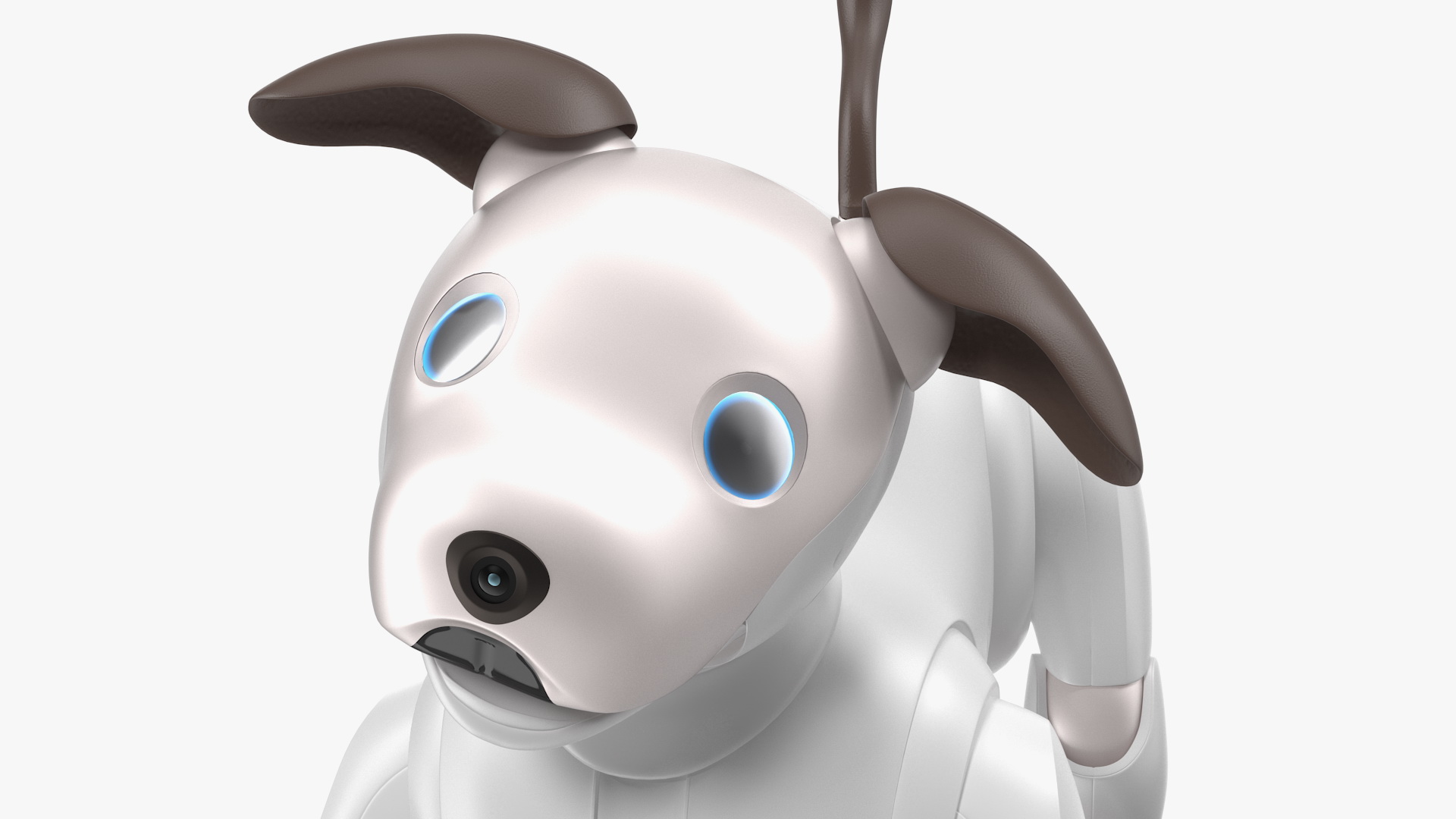 Sony Aibo 2017 Playing Pose 3D