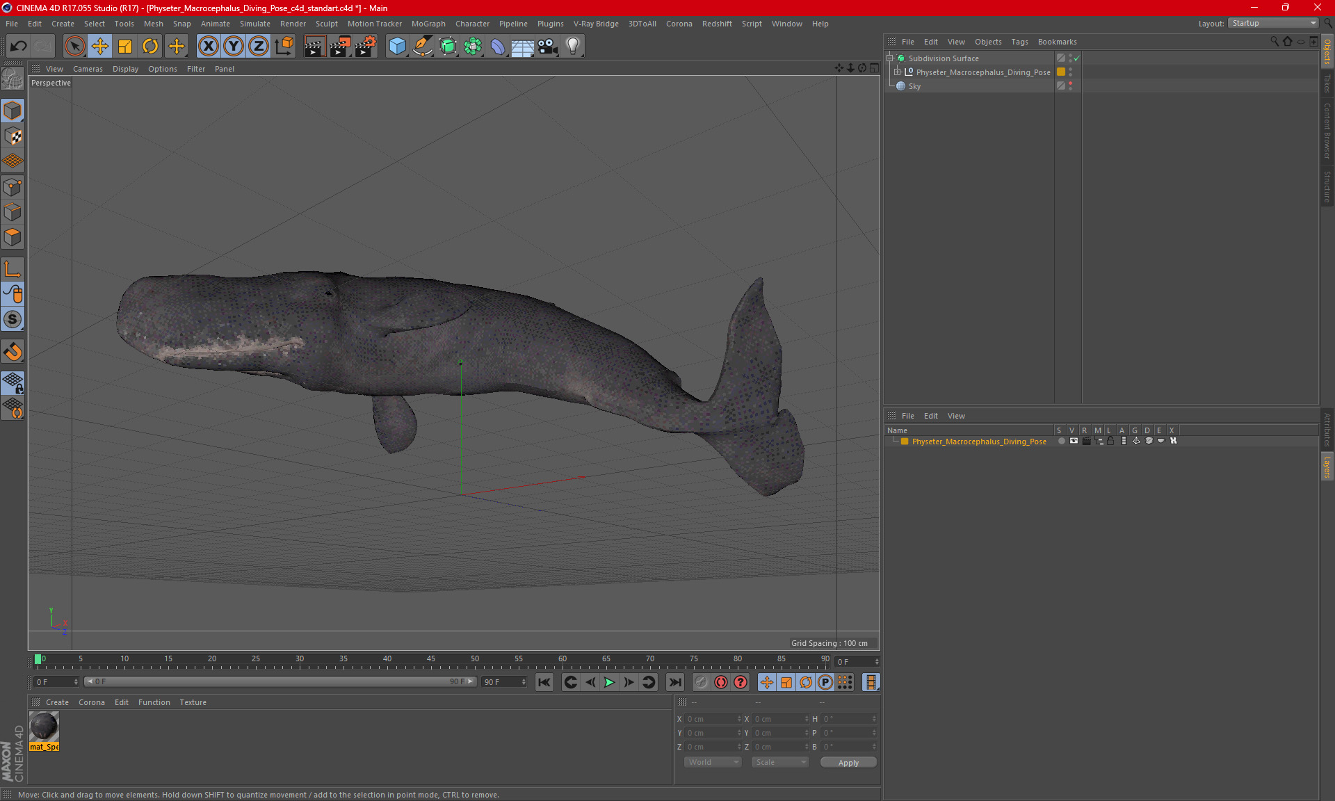 Physeter Macrocephalus Diving Pose 3D model