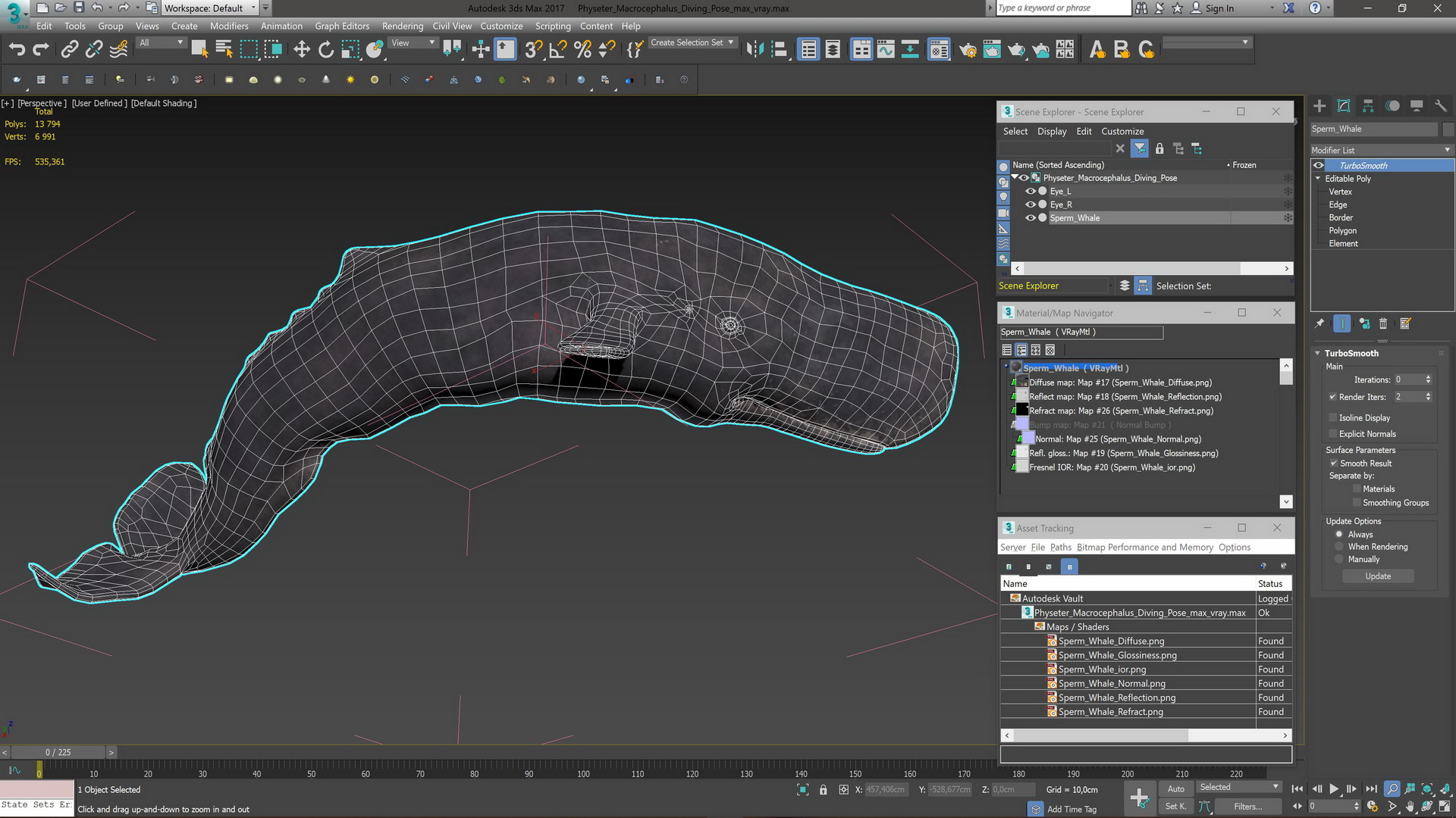 Physeter Macrocephalus Diving Pose 3D model