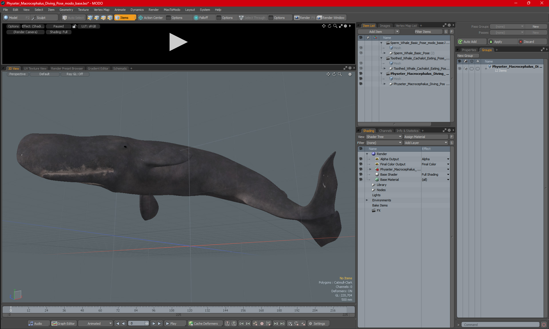 Physeter Macrocephalus Diving Pose 3D model