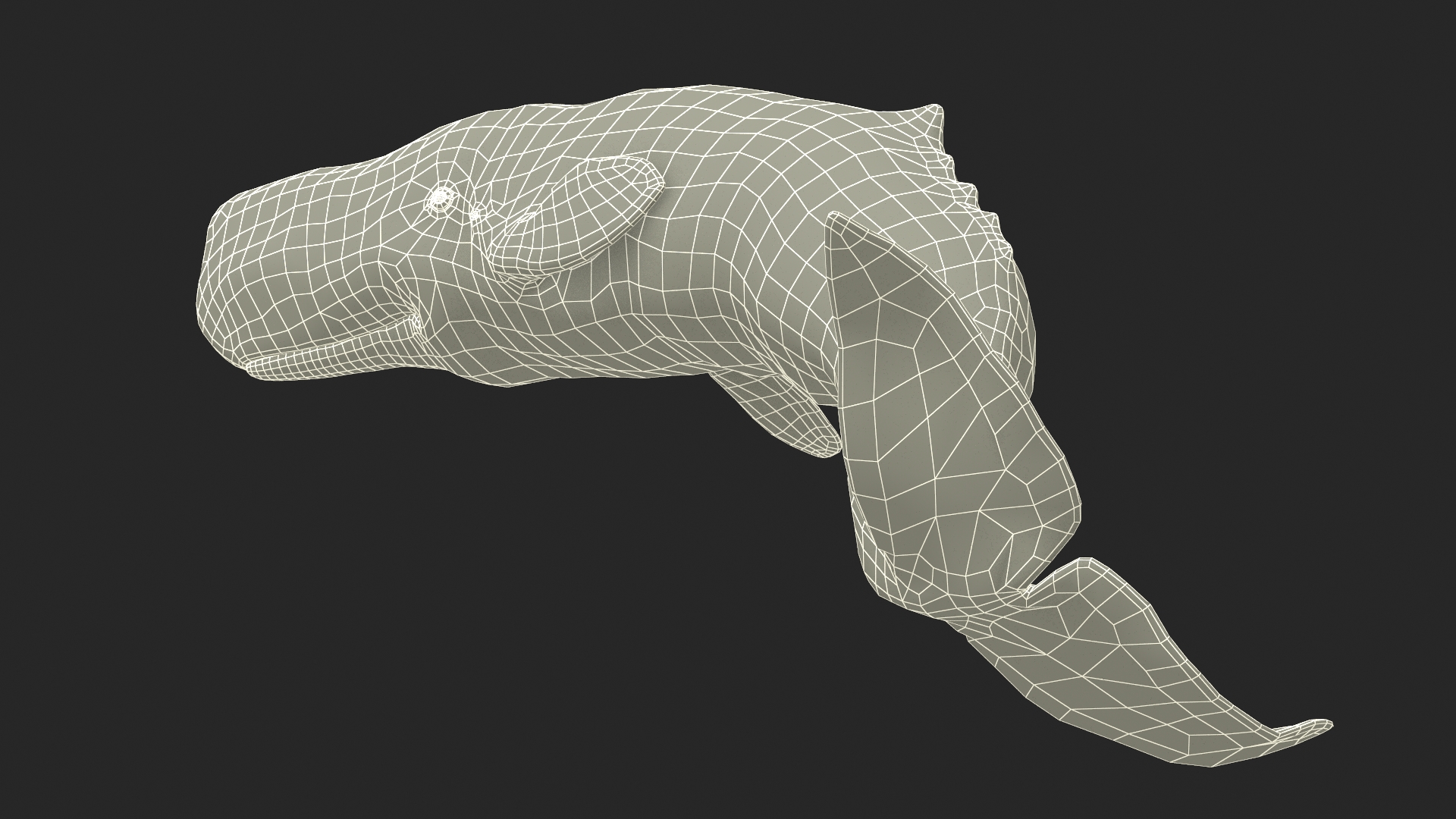 Physeter Macrocephalus Diving Pose 3D model