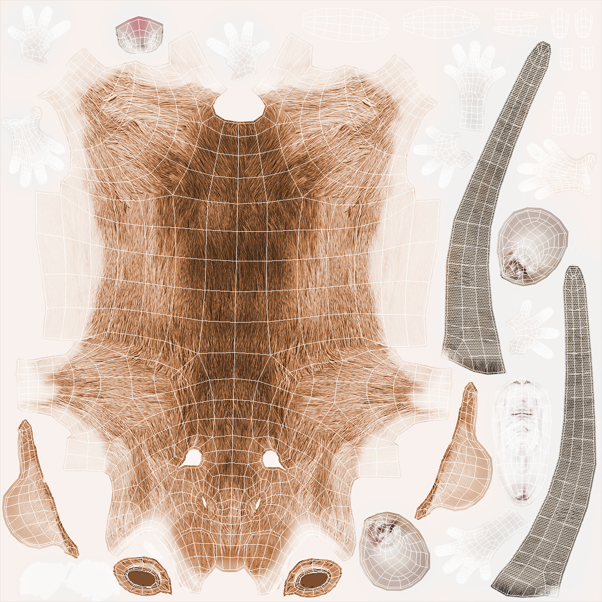 Common Rat with Fur 3D model