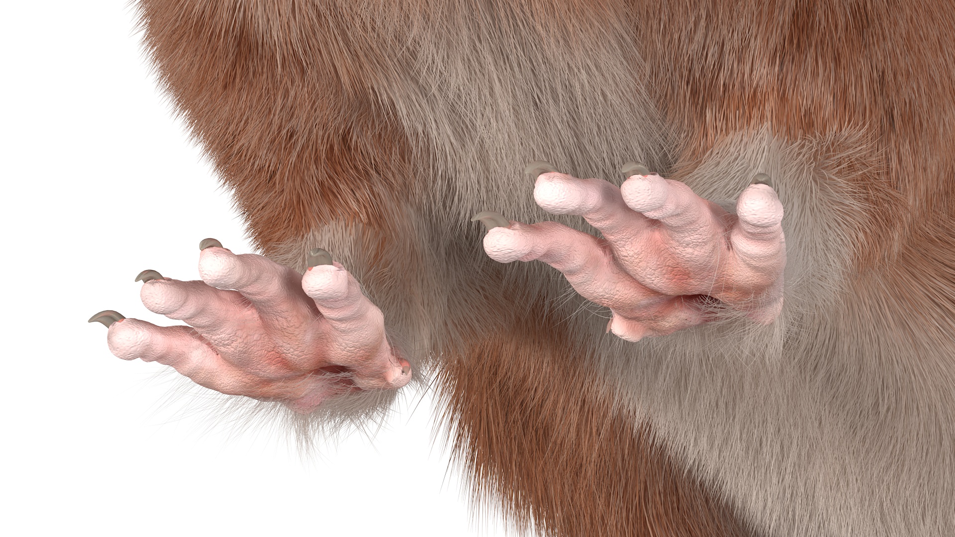 Common Rat with Fur 3D model