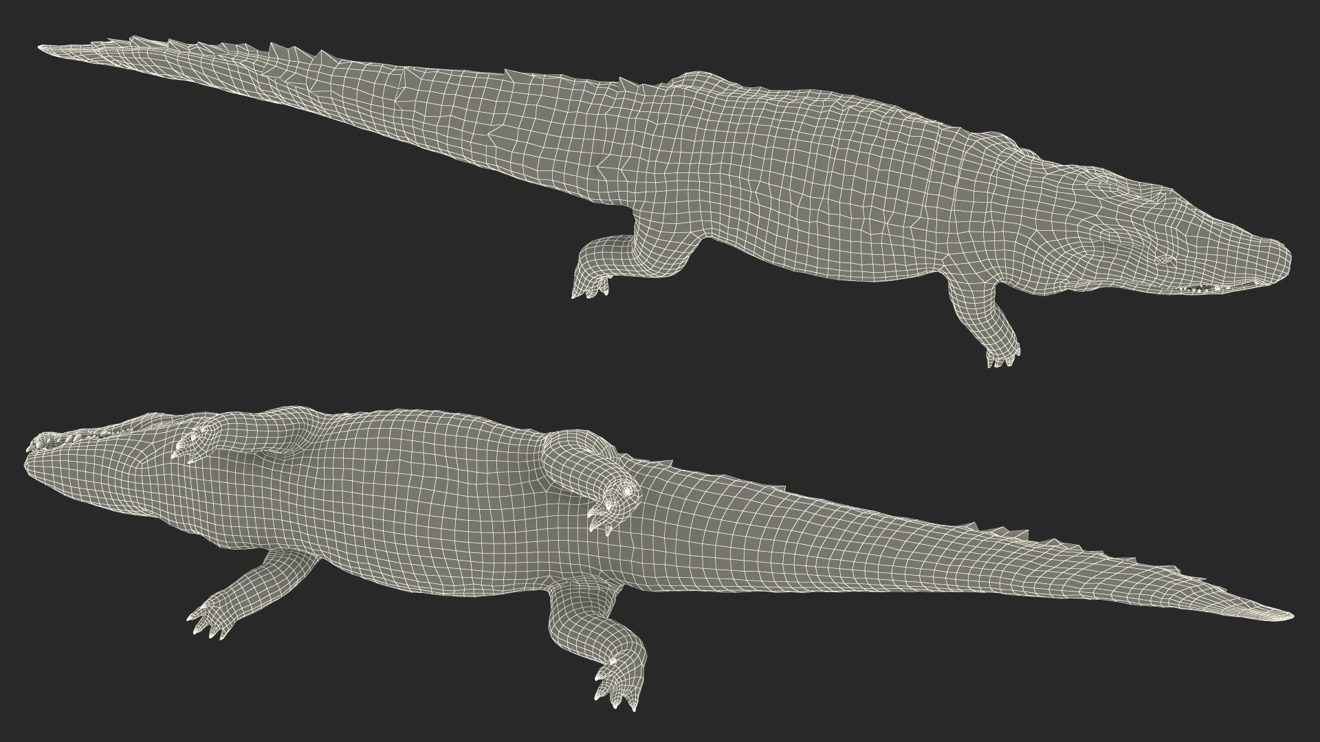 Black Caiman 3D