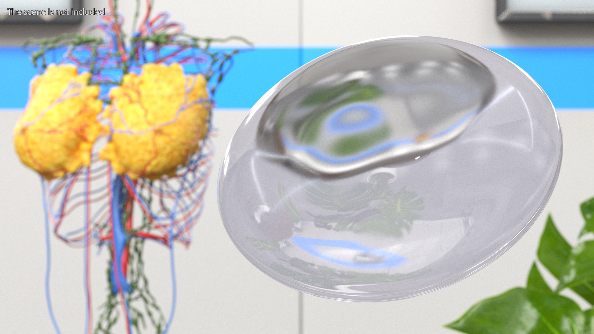 3D model Low Smooth Breast Implant