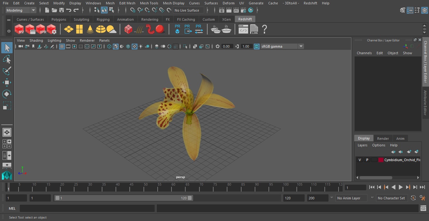 3D model Cymbidium Orchid Flower Yellow