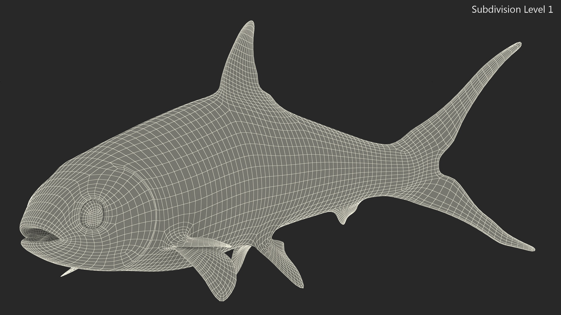 Swimming Milkfish 3D