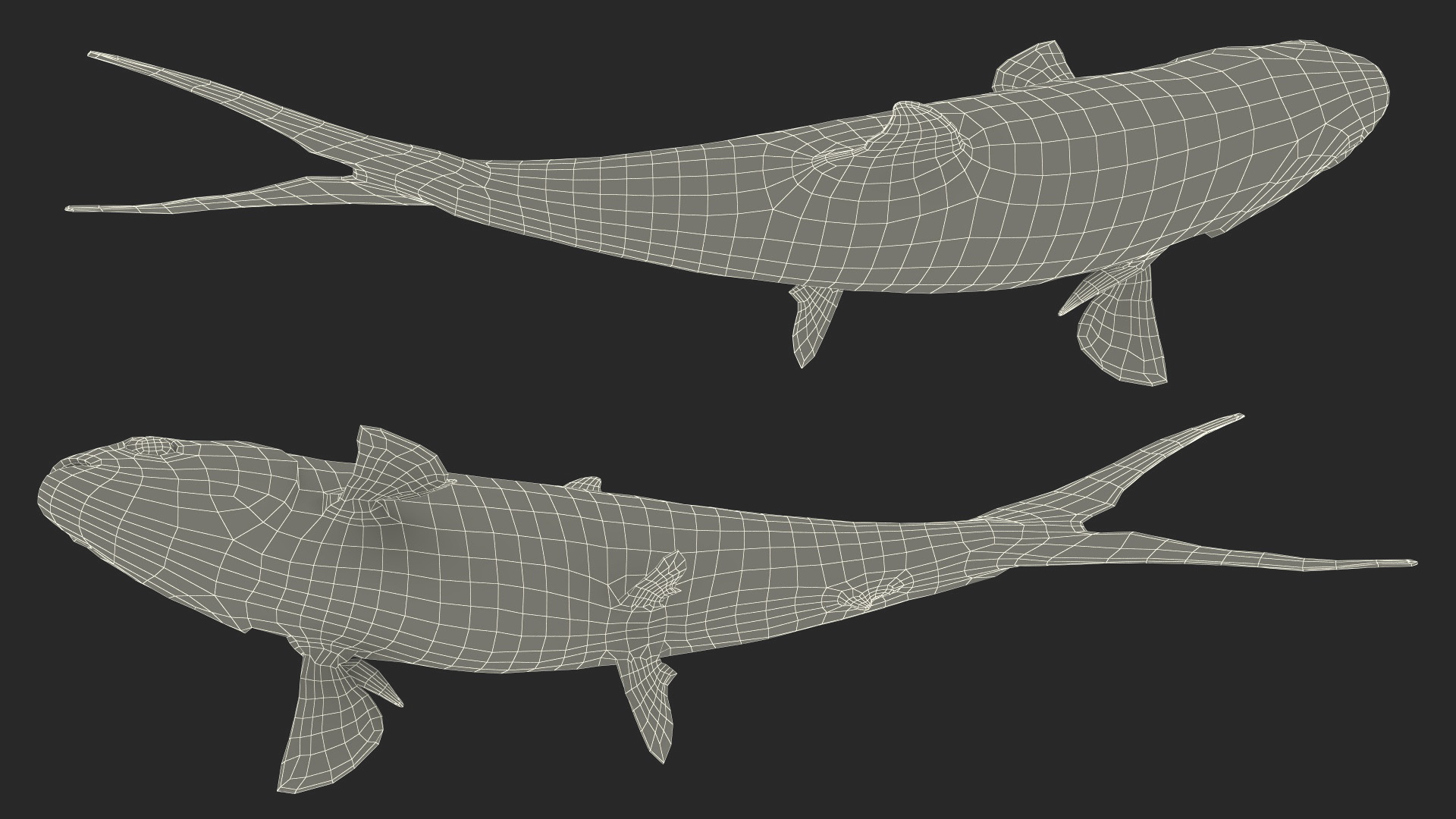 Swimming Milkfish 3D
