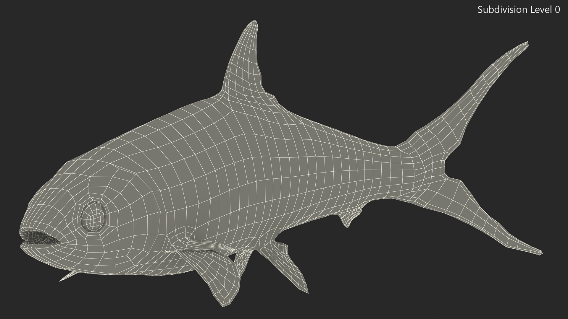 Swimming Milkfish 3D