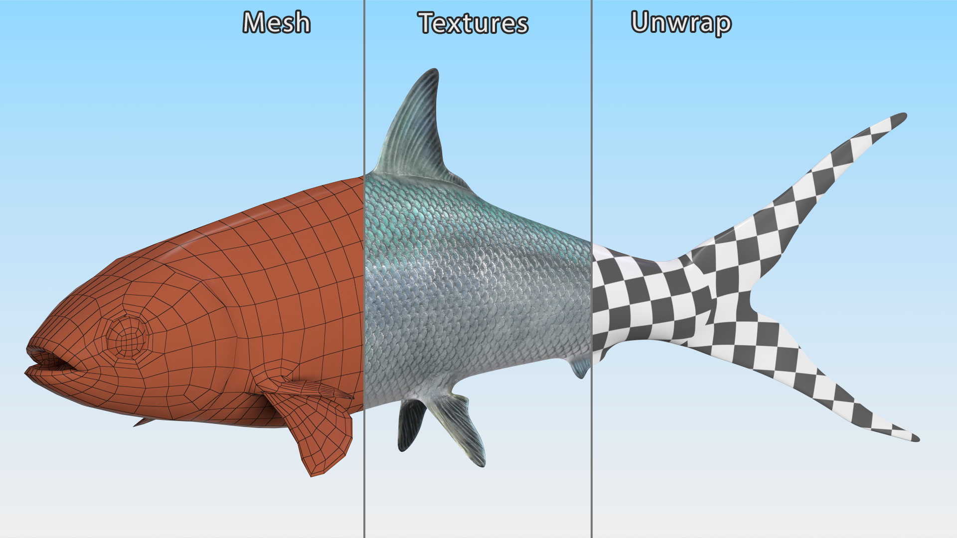 Swimming Milkfish 3D