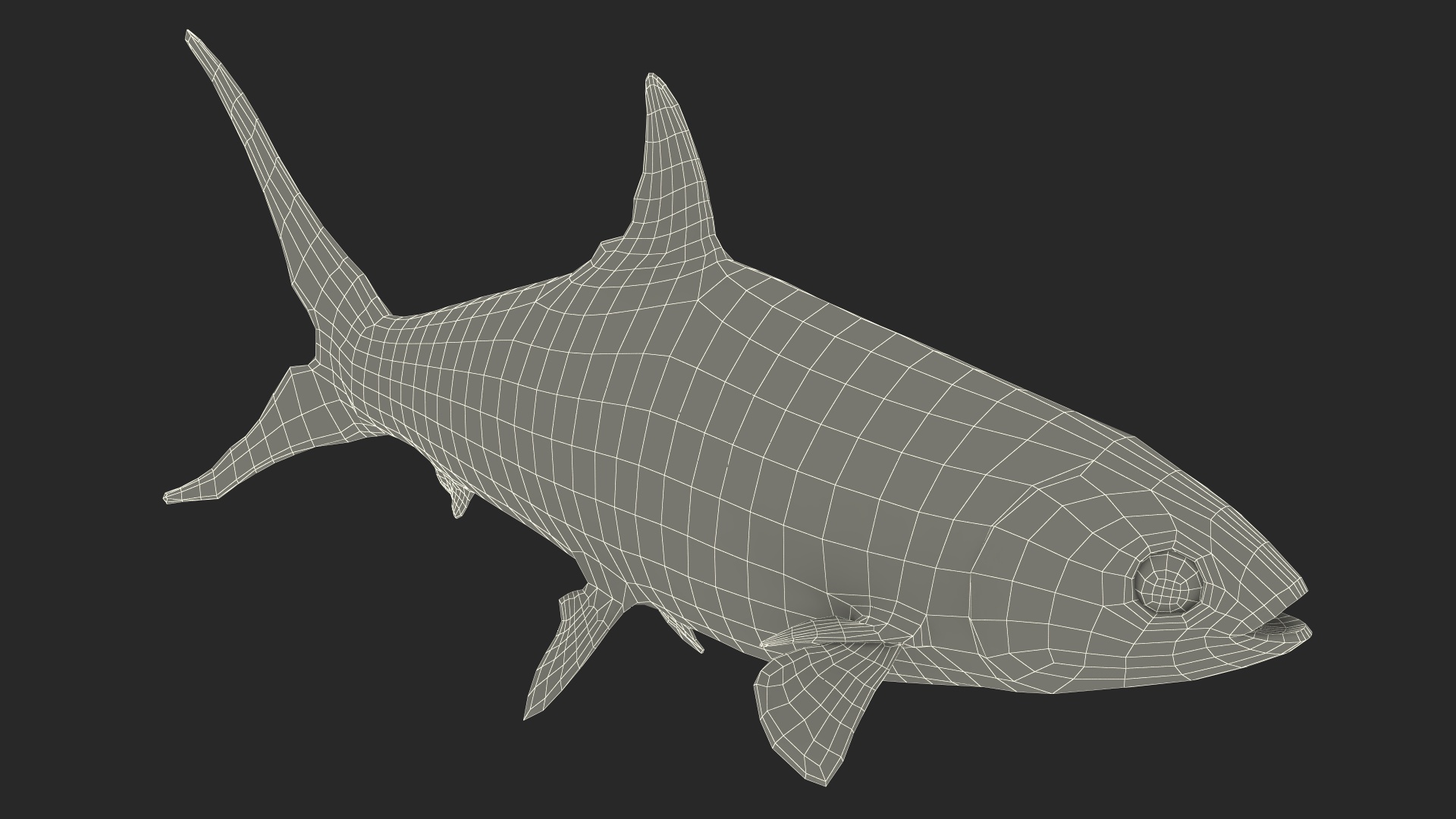 Swimming Milkfish 3D