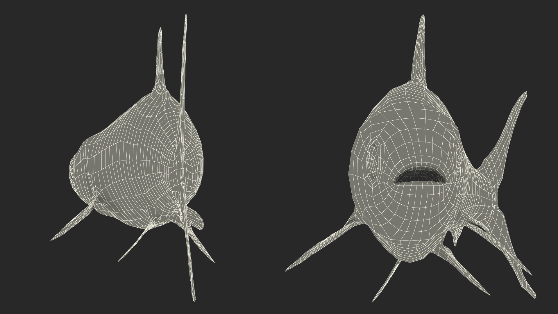 Swimming Milkfish 3D