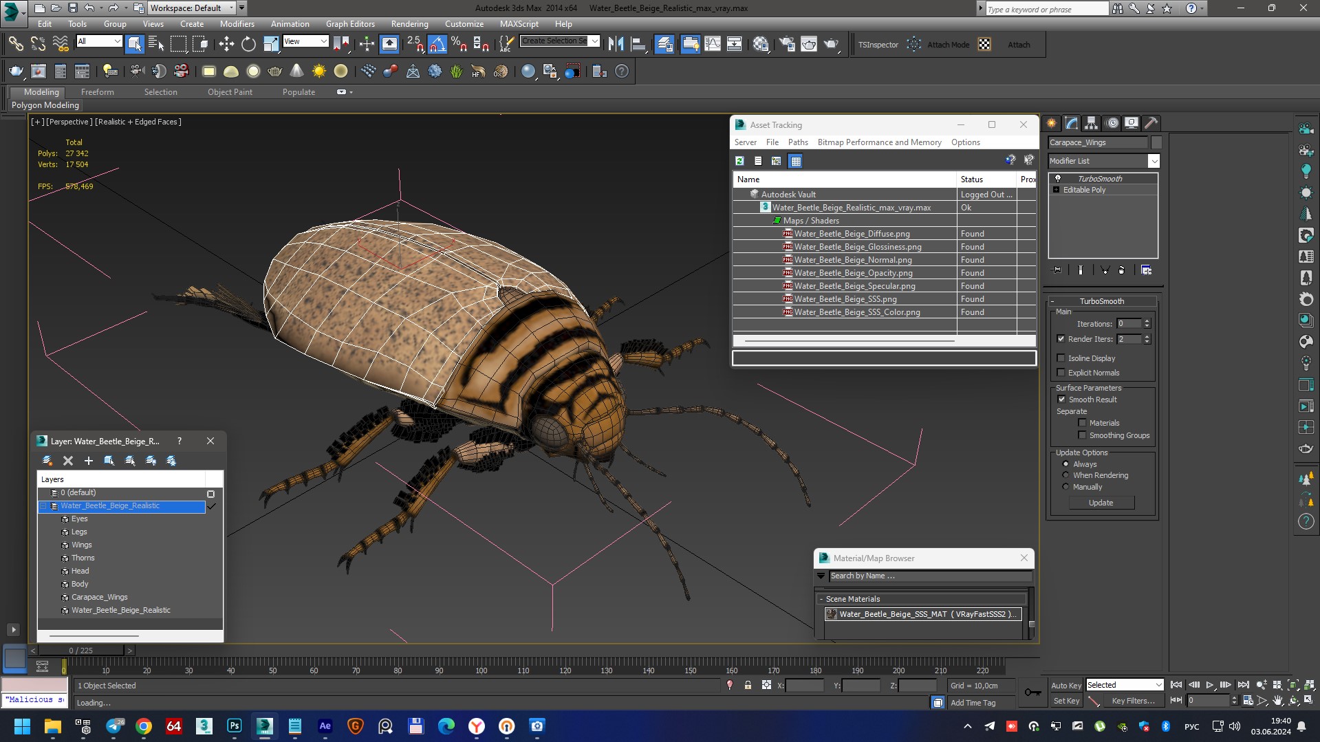 3D Water Beetle Beige Realistic model