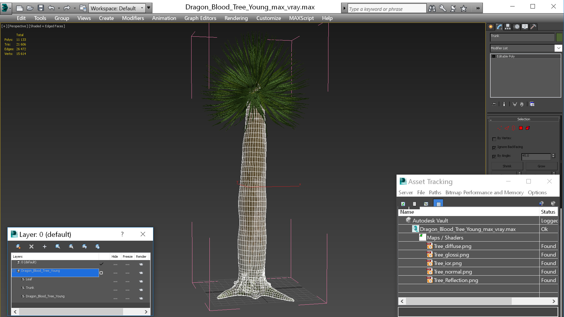 3D Dragon Blood Tree Young model