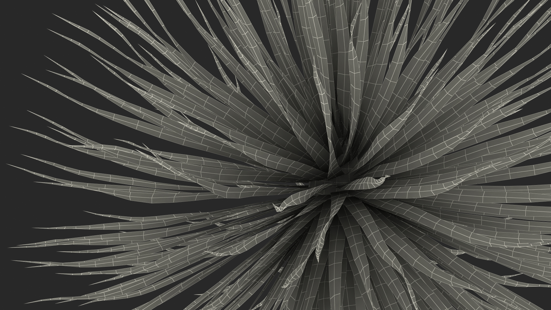 3D Dragon Blood Tree Young model