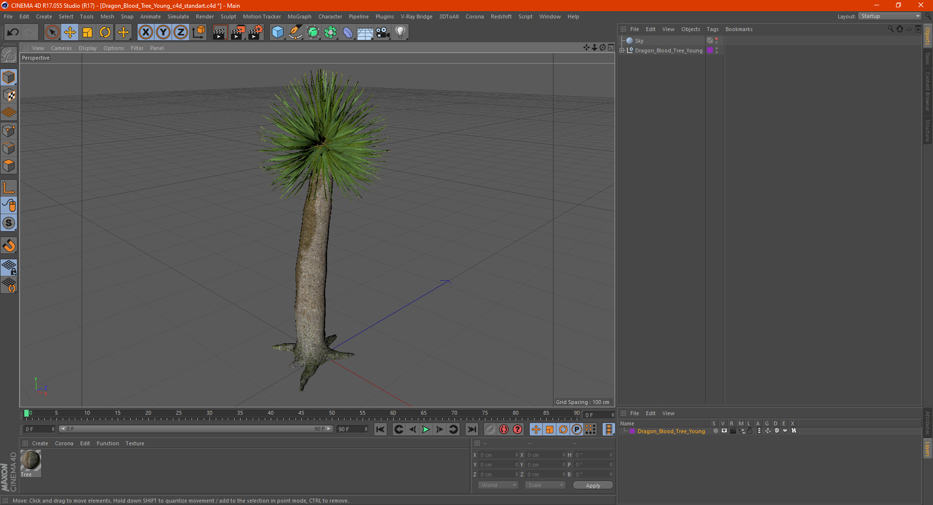 3D Dragon Blood Tree Young model