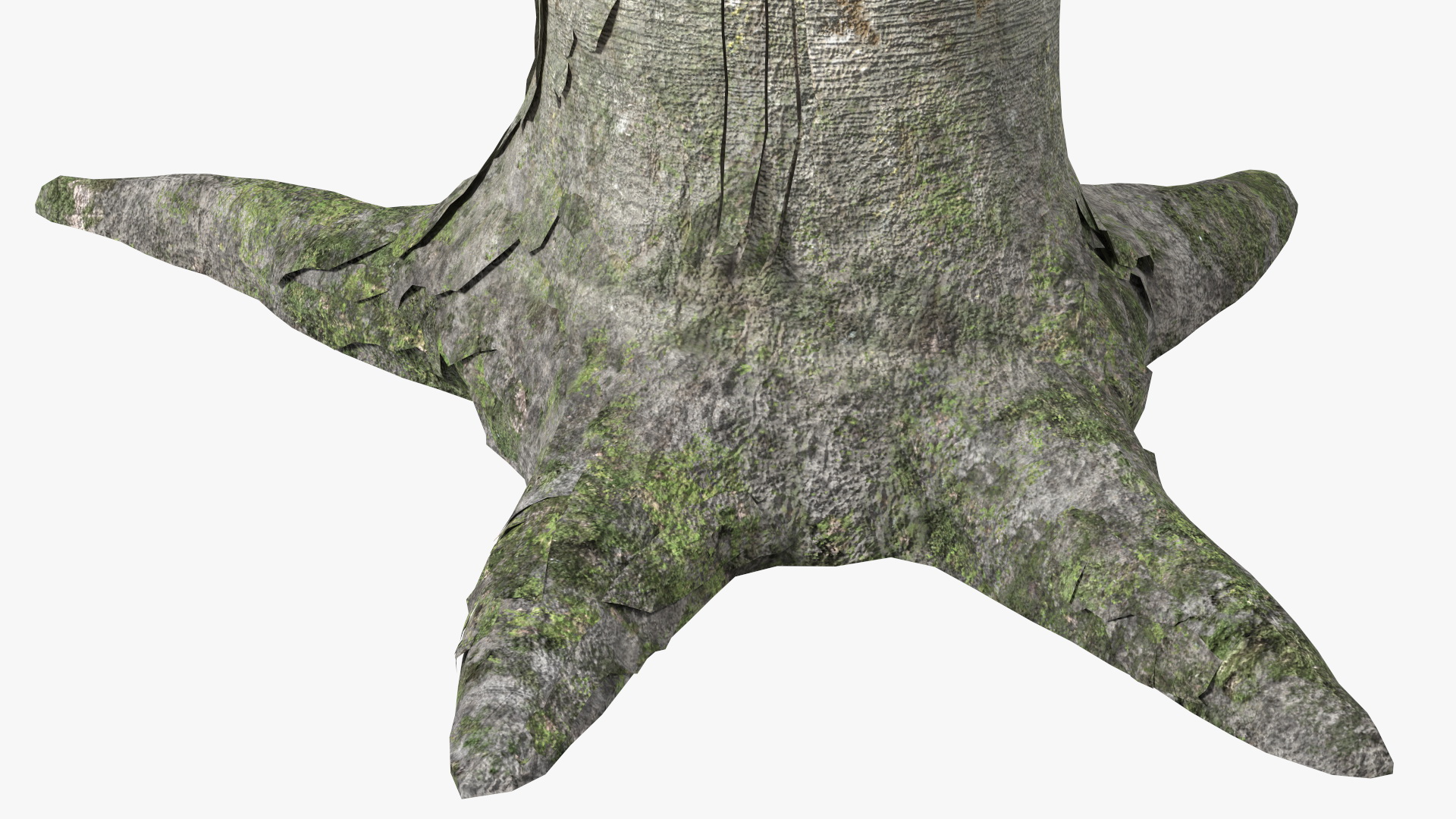 3D Dragon Blood Tree Young model