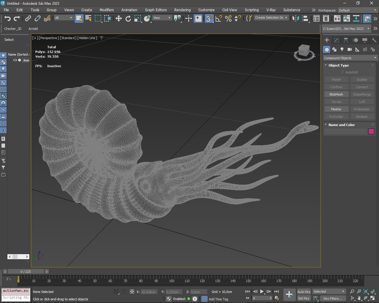 3D Ammonite for 3D Print