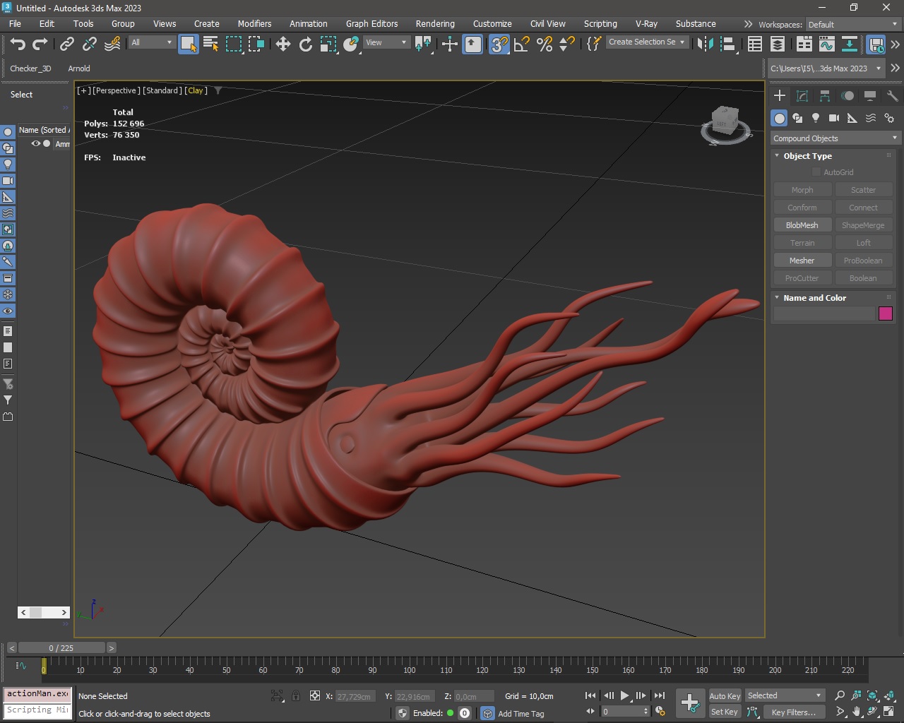 3D Ammonite for 3D Print