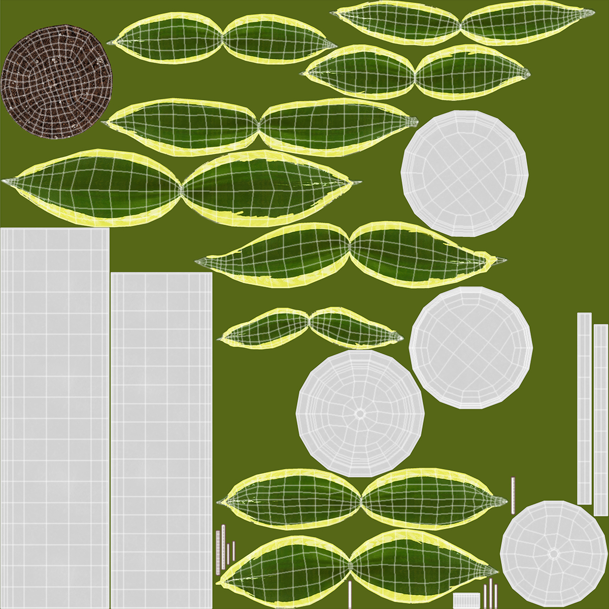 Vipers Bowstring Hemp Plant 3D