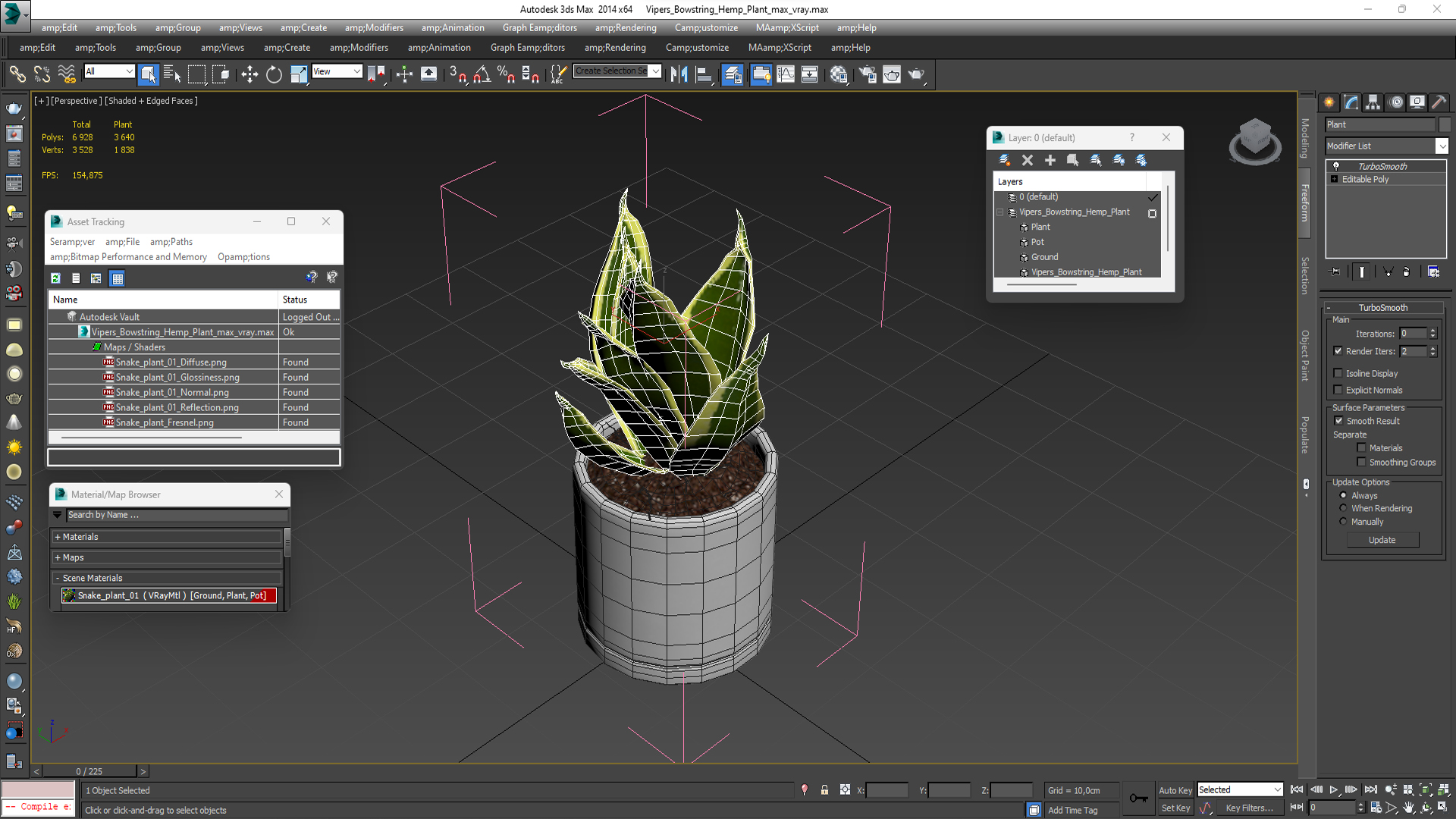 Vipers Bowstring Hemp Plant 3D