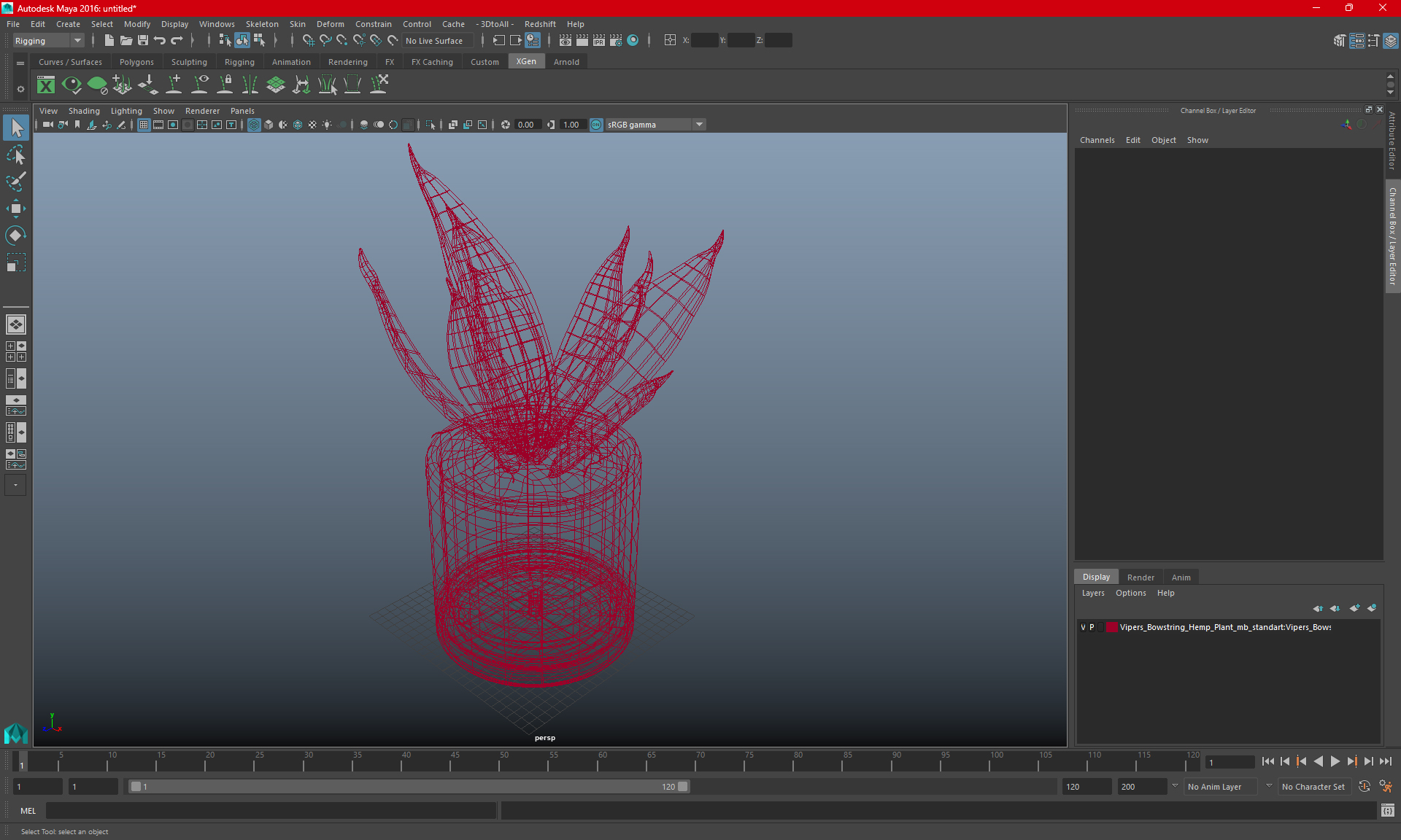 Vipers Bowstring Hemp Plant 3D