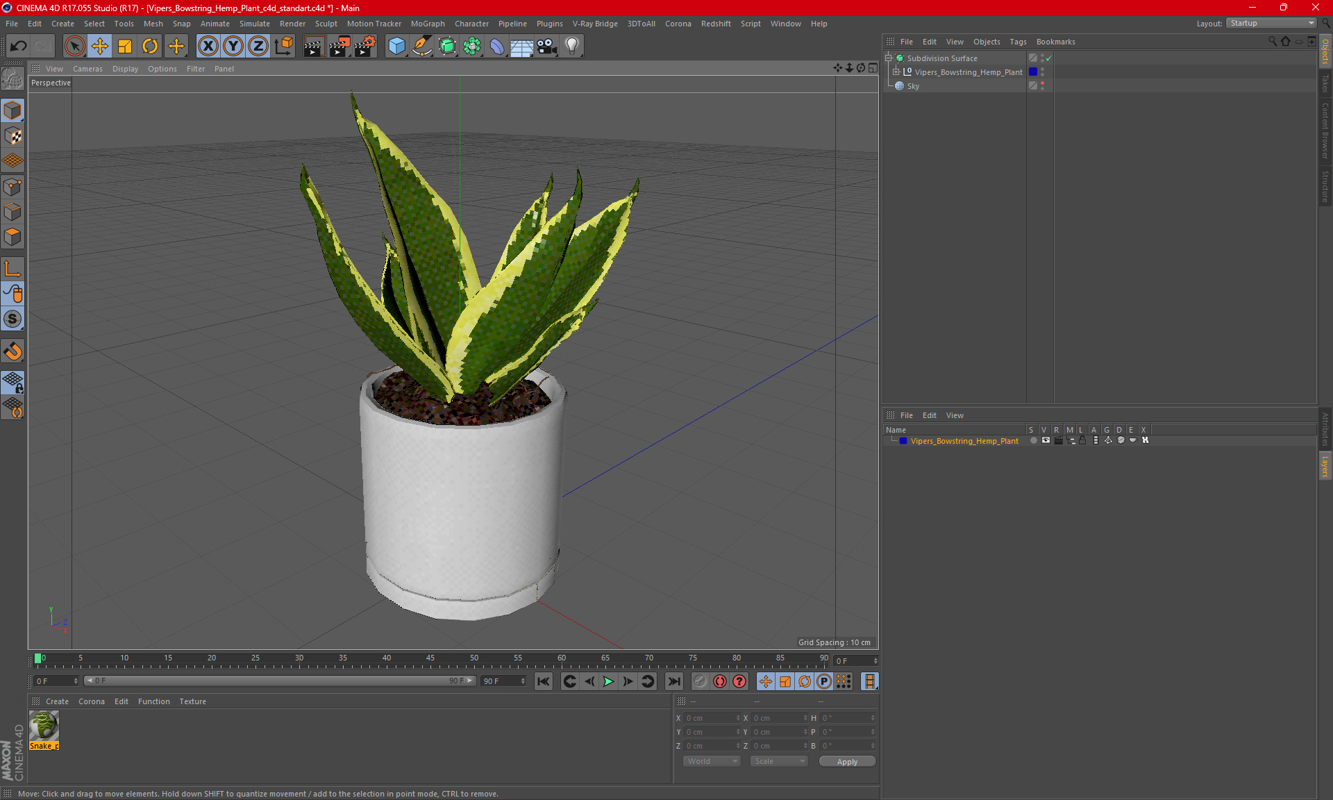 Vipers Bowstring Hemp Plant 3D