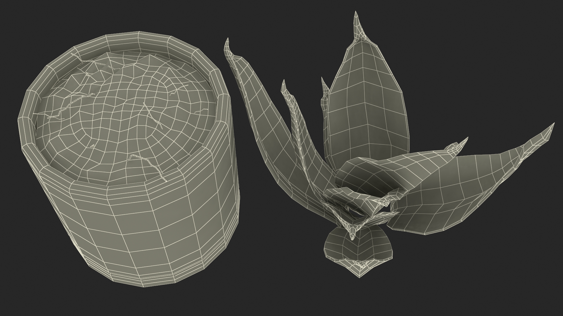 Vipers Bowstring Hemp Plant 3D