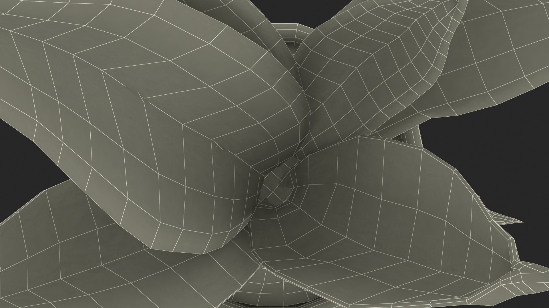 Vipers Bowstring Hemp Plant 3D