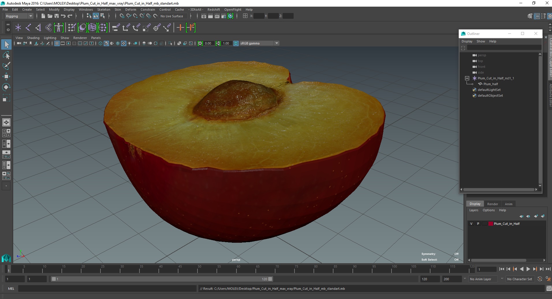 3D Plum Cut in Half