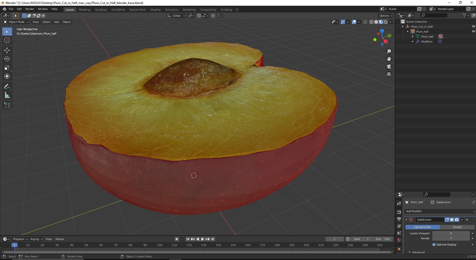3D Plum Cut in Half