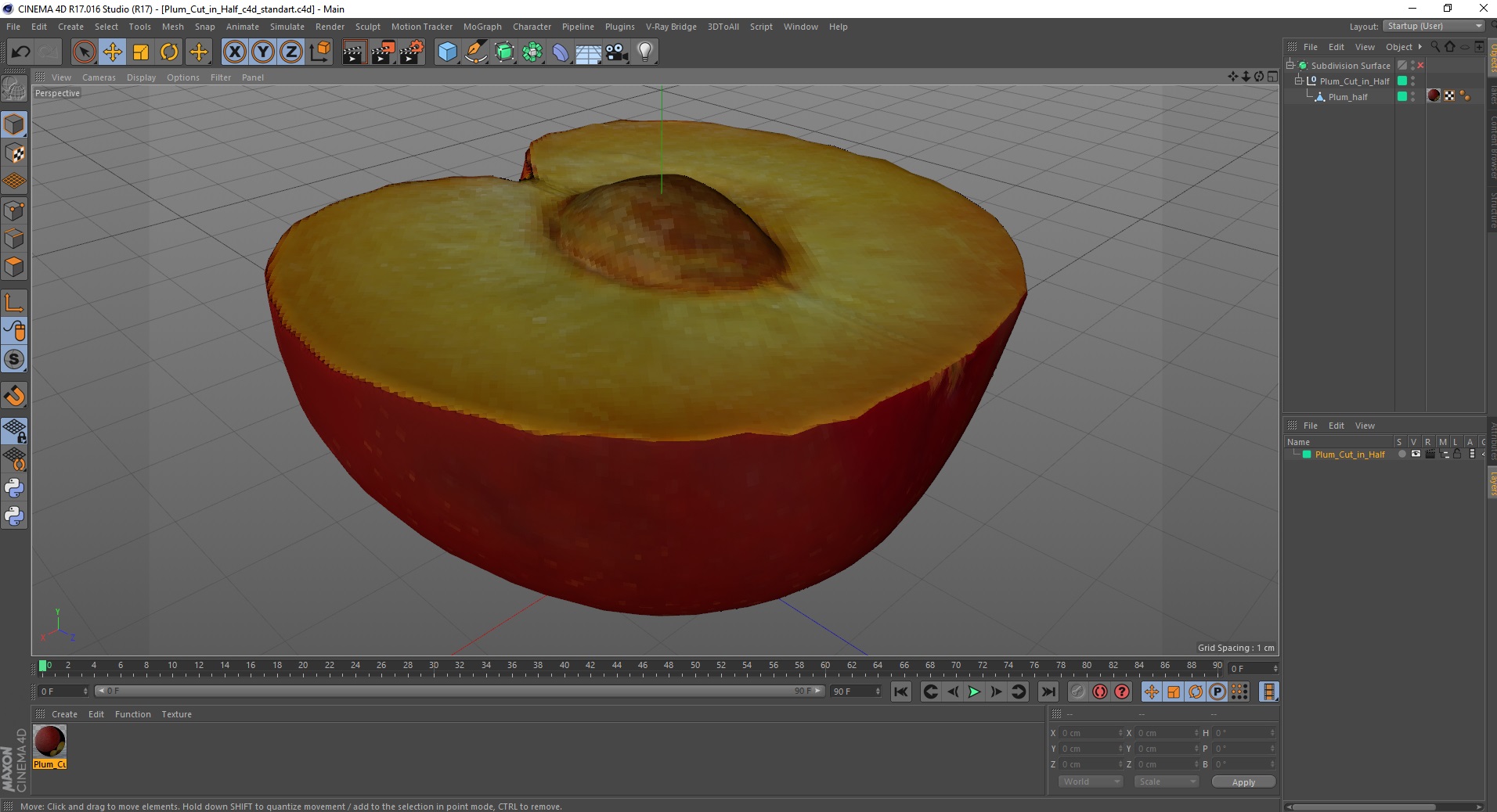 3D Plum Cut in Half