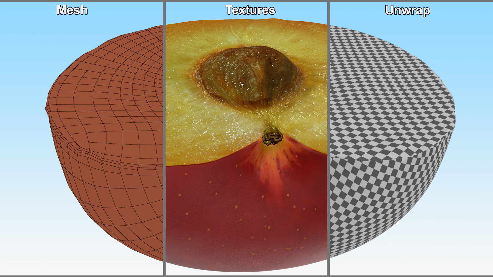 3D Plum Cut in Half
