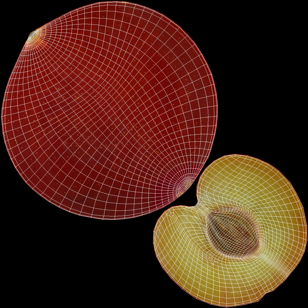 3D Plum Cut in Half