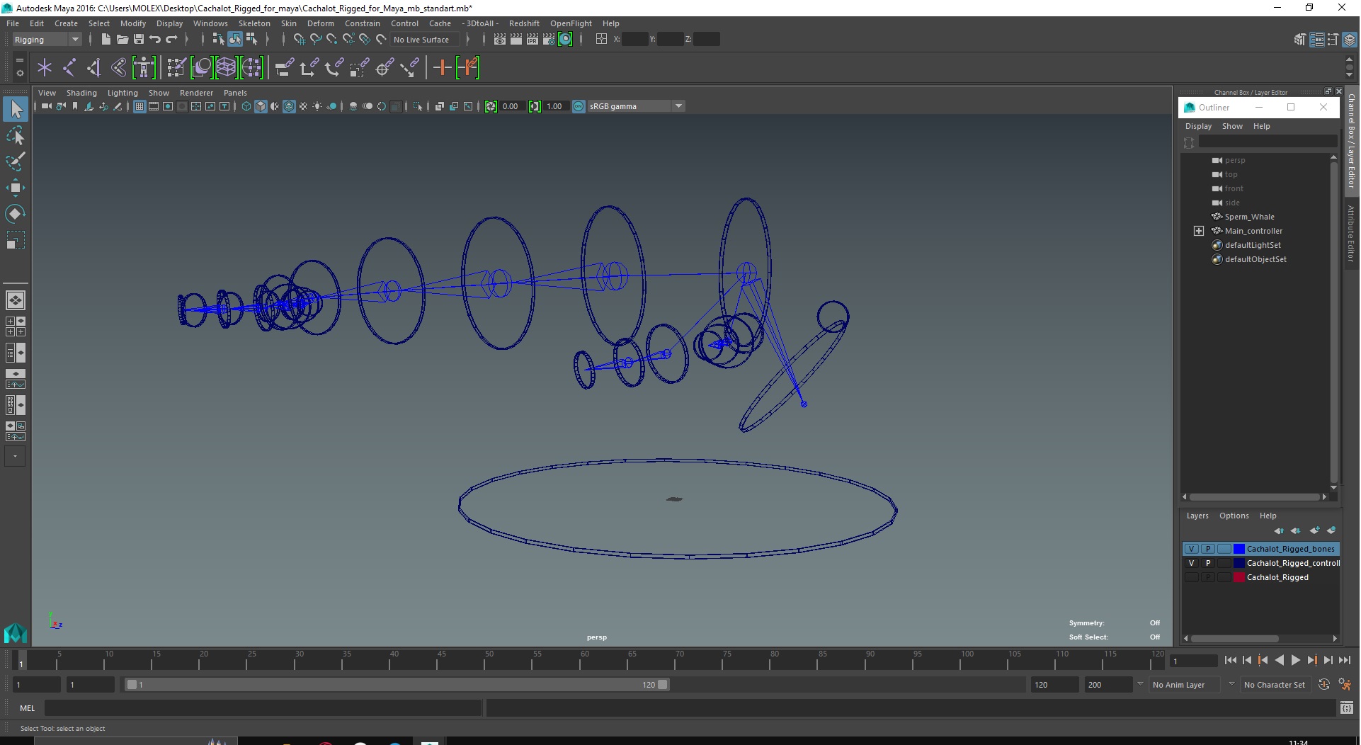Cachalot Rigged for Maya 3D model
