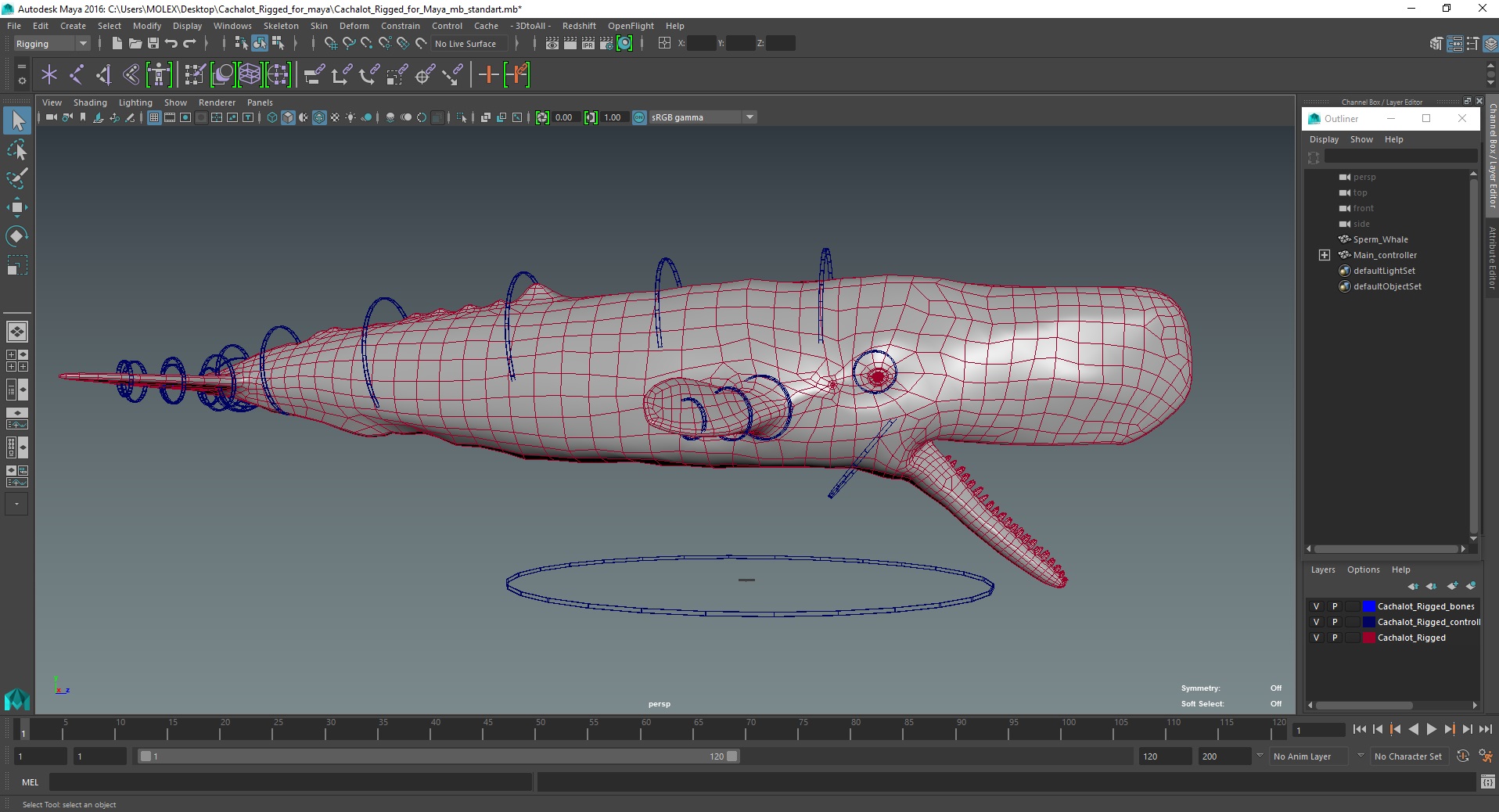 Cachalot Rigged for Maya 3D model