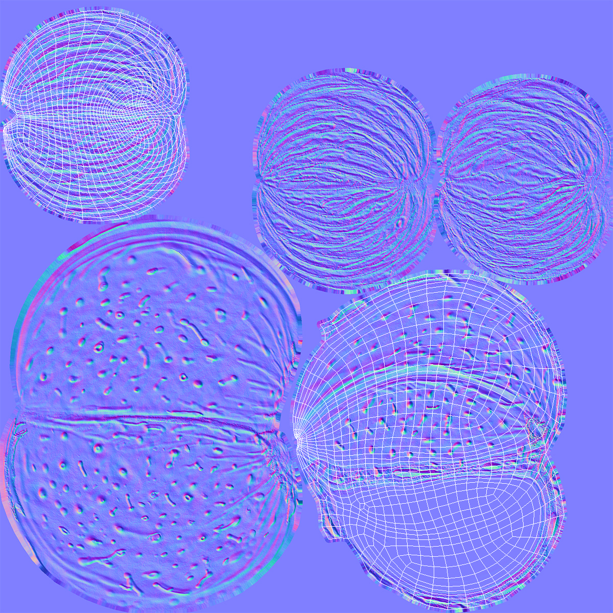 3D Broken Almond Shell with Almond